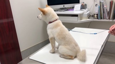 「先生、まだかな~?」