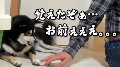 すみすみちゃんは激怒！