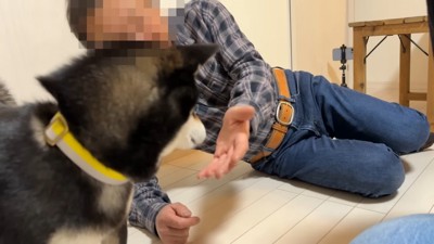 お父さんが触れようとしたら…