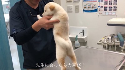 先生に会えて嬉しそう♪