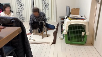 自分から近づいて、お顔をスリスリ