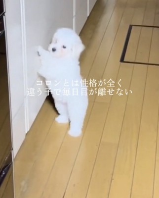お転婆な一面も