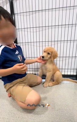 子犬を撫でる男の子