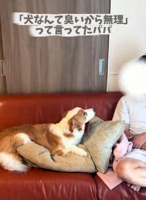 犬嫌いだったパパ