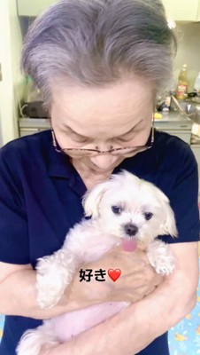 おばあちゃんの腕の中でくつろぐ犬