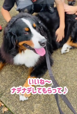 人が大好きなあざちゃんでした