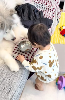 ごはんを差し出す息子さん