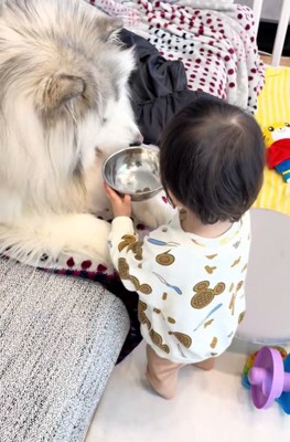 ごはんを持ってきた息子さん