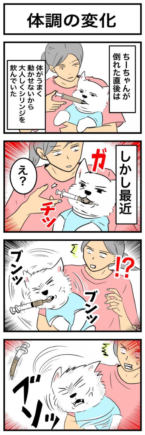 ちーちゃんですけどもっ【第36<br /> 話】 1