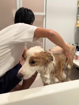 お風呂もパパが担当♪