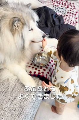仲良しなふたり