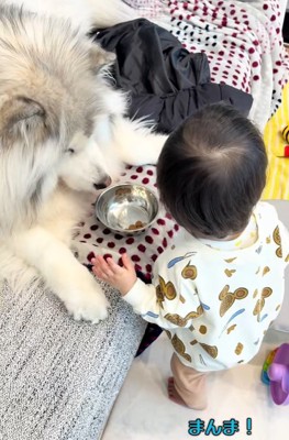 まんまと口にする息子さん