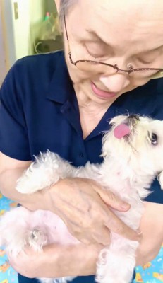 おばあちゃんの顔を見つめる犬