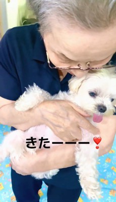 犬を抱き上げるおばあちゃん