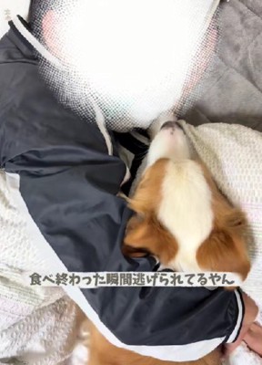 添い寝をするためオヤツで釣るも…