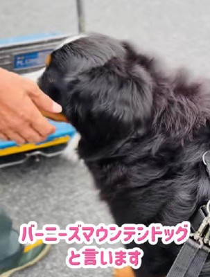 丁寧にご挨拶