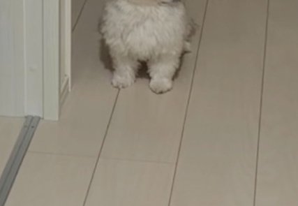 お出迎え