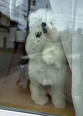 少しの間離れていただけで…