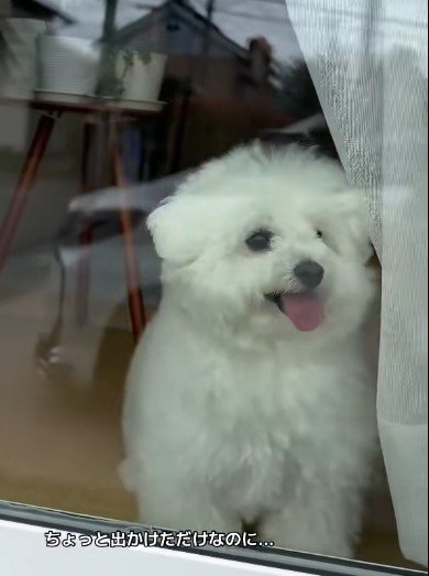 熱烈大歓迎♡