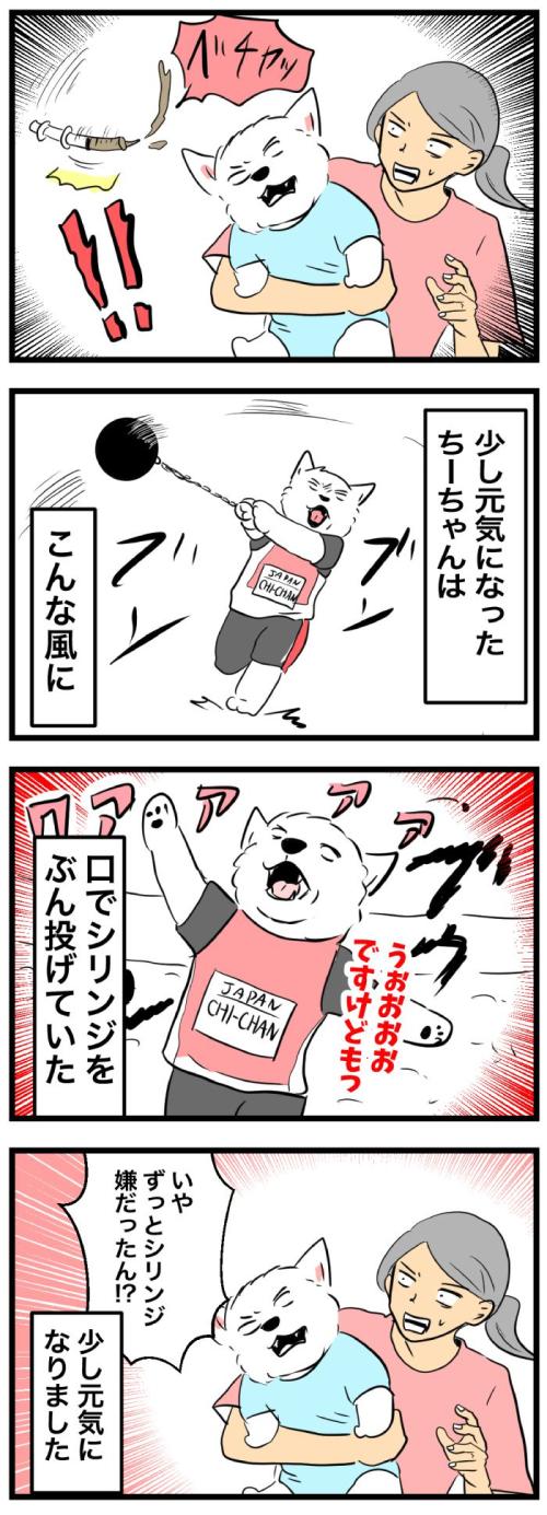 ちーちゃんですけどもっ【第366<br /> 話】 2