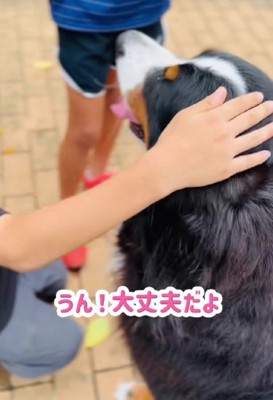 子どもたちの人気者