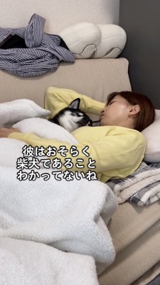 女性の腕枕で寝る黒柴「犬であることを分かってない」