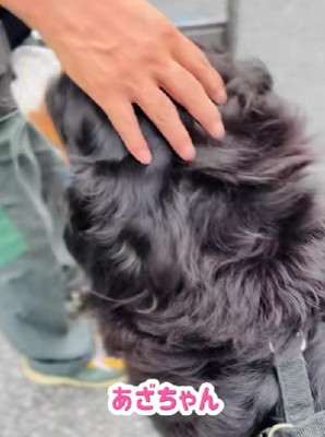 微笑ましい光景にホッコリ♡