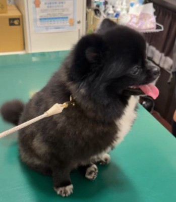 「今日は何をするのかな？」