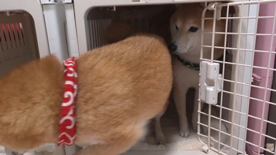 自分のハウスへ移動