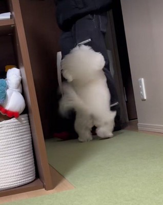 健気で可愛いむにちゃんでした