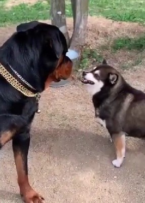 「え?なに…」