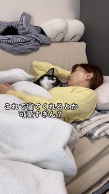 ソファーで寝る女性と黒柴