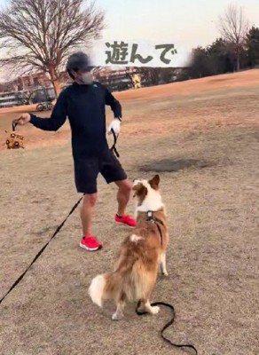 休日はイギーちゃんと過ごす