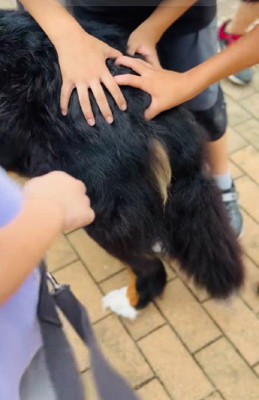 お尻もなでなで♡