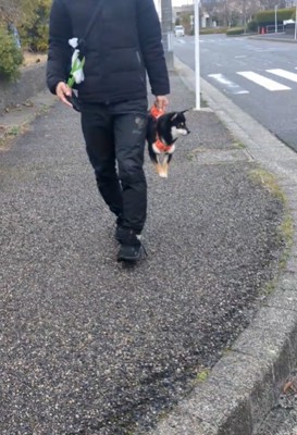 抱えられて横を向く犬1