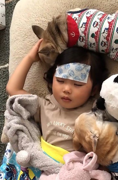 女の子もお礼のなでなで