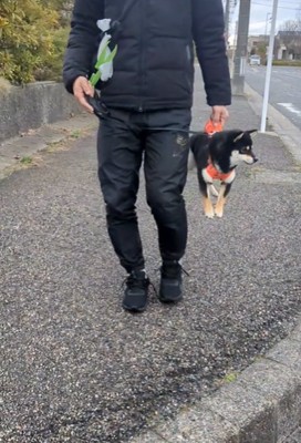 抱えられて横を向く犬2