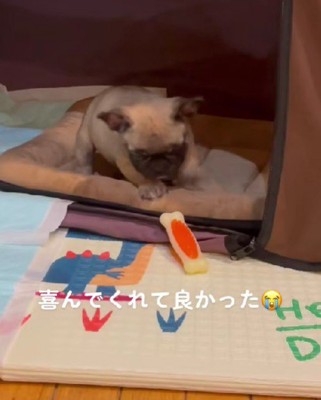 幸せそうなはちくん