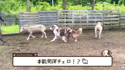 才能が一気に開花