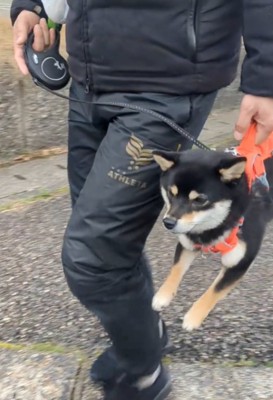 抱えられる犬アップ1