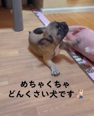 家族のアイドル！？