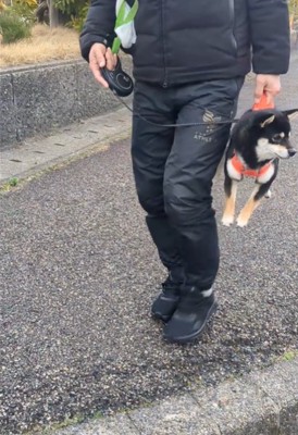 抱えられて横を向く犬3