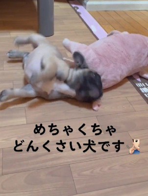 ちょっぴり天然な一面も♪