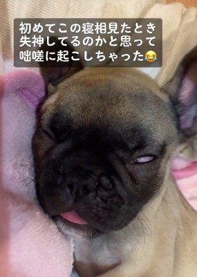 独特すぎる寝顔