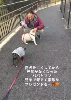 2匹のわんこを亡くして…