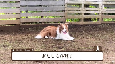 ちょっぴり一休み♪