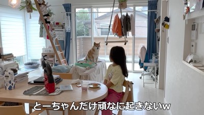 女の子を見守る花子ちゃん