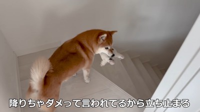 一緒に女の子を起こしに行きます