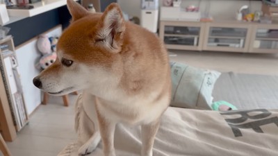 ものすごく寂しそう！