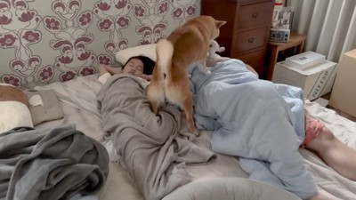 「朝だよ。起きて～！」